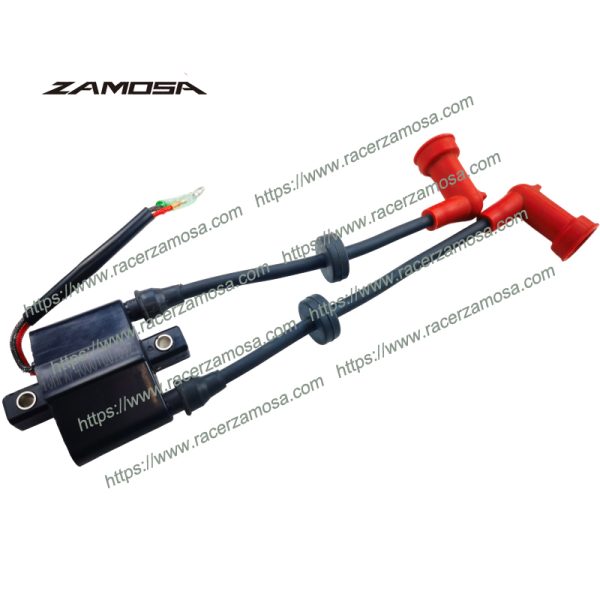 Boat Motor Ignition Coil Assy 6B4-85570-00 TE15-05000400 for Outboard 2-stroke Engine 9.9HP 15HP
