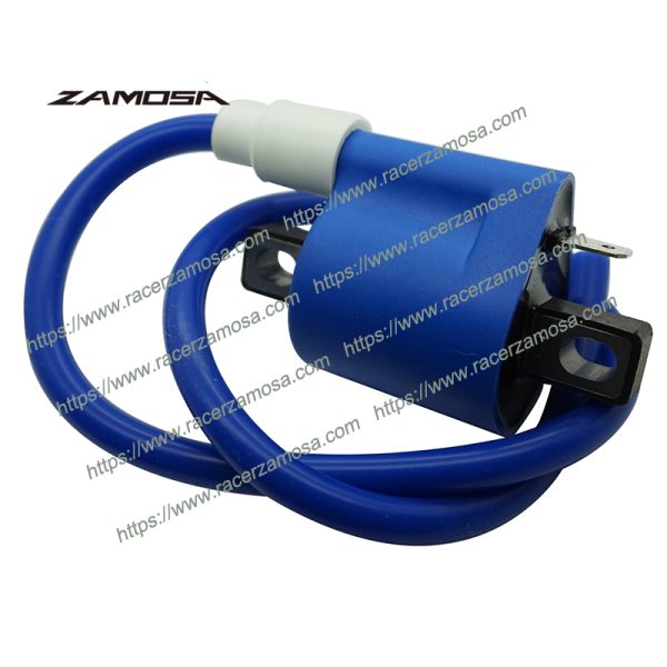 FT125 Motorcycle Racing Performance Parts AKT125 RX150 YBR125 CG125 Racing Ignition Coil RX 150 FT 125 AKT 125 YBR 125